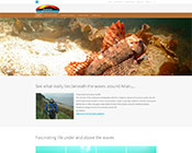 Vergrößerung Arran Sealife